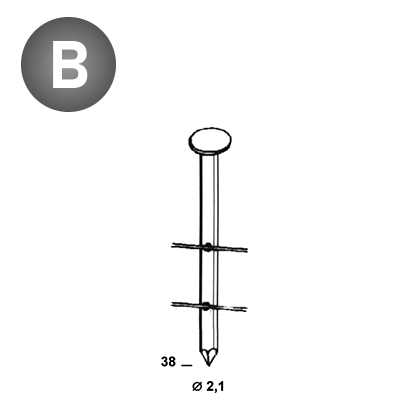 Coils 21x38 Glatt