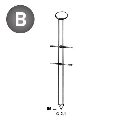 Coils BO 21 x 55 smooth