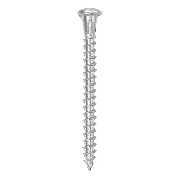 Wood anchor screw VBA galvanised version with plastic coating