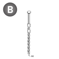 Nails 20° 31 x 80 twisted