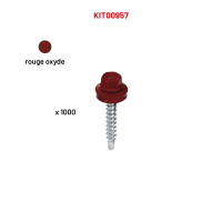 1000 VHB 4,8x25 rouge oxyde