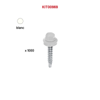 1000 VHB 4,8x25 blanc