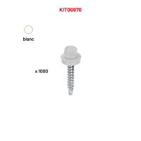 1000 VHB 4,8x35 blanc